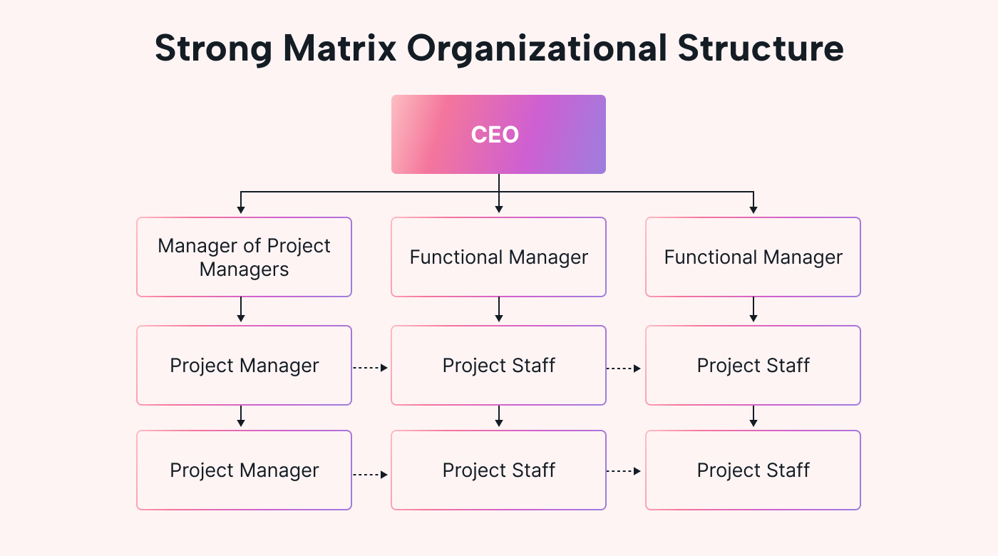 Strong Matrix Organizational Structure