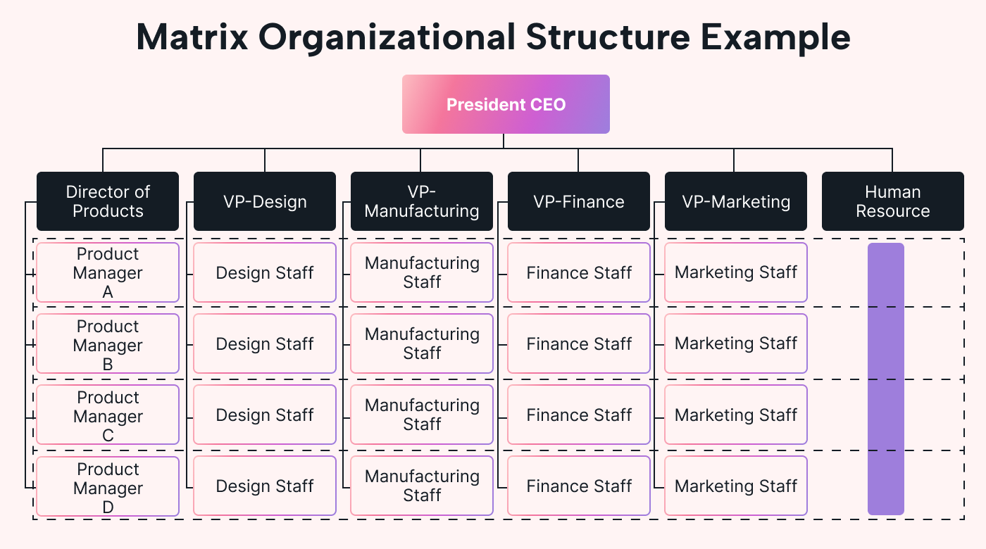 Matrix organizational structure example