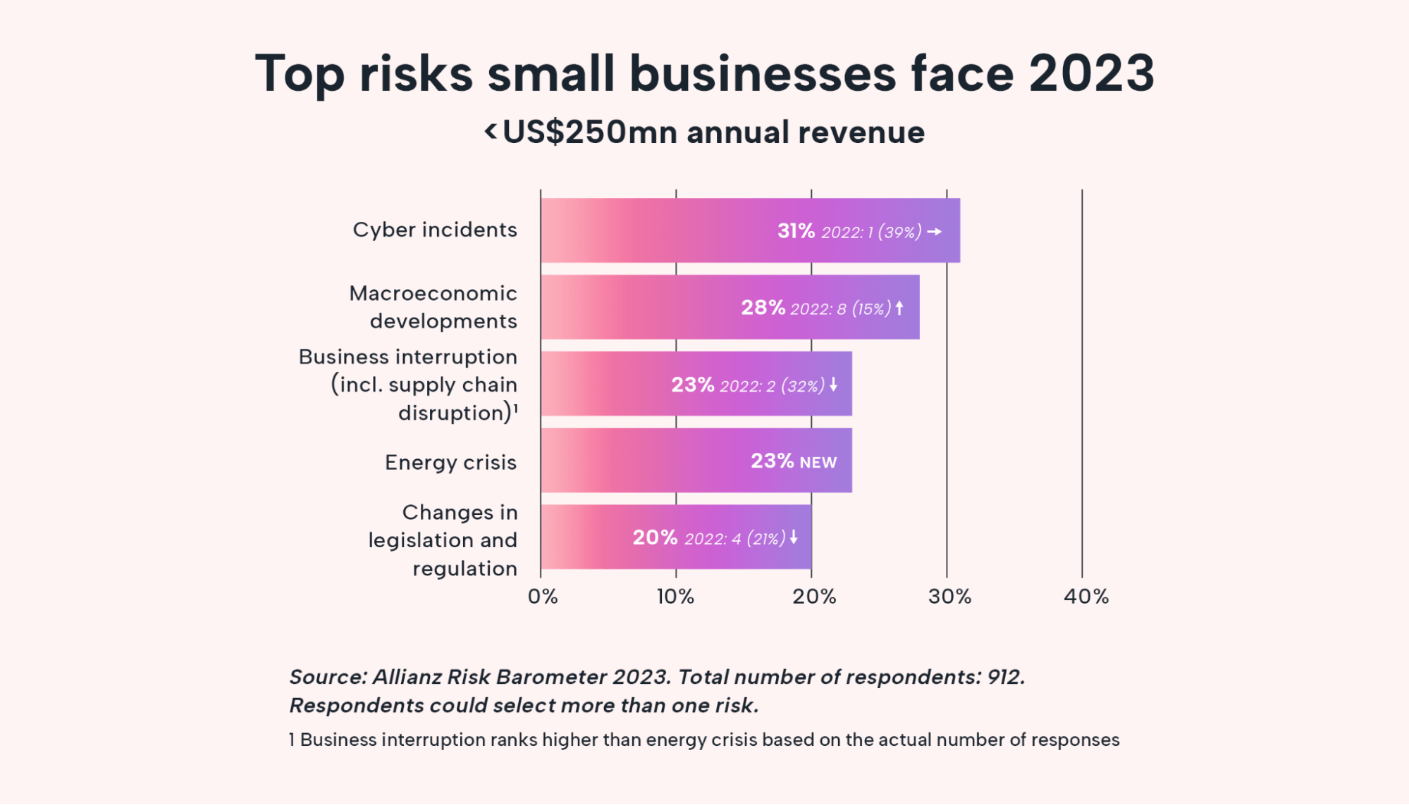 Horizontal bar graph of the top five risks businesses face
