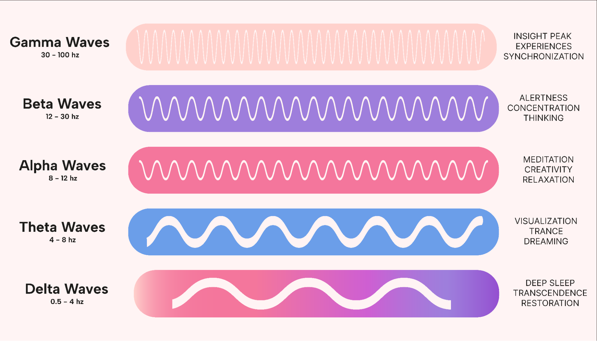 A chart with brain waves